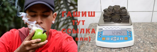 индика Дмитров