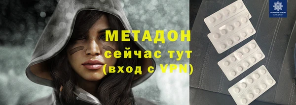 индика Дмитров