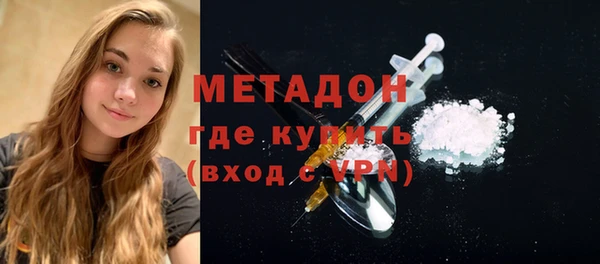 индика Дмитров