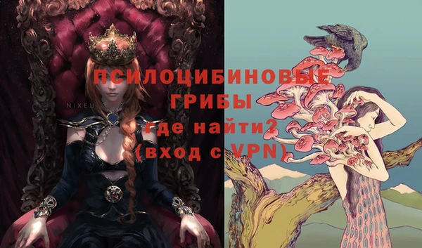 индика Дмитров