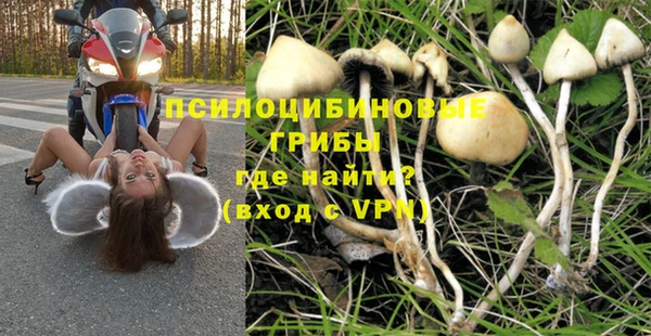 кристаллы Дмитриев