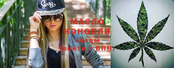 индика Дмитров