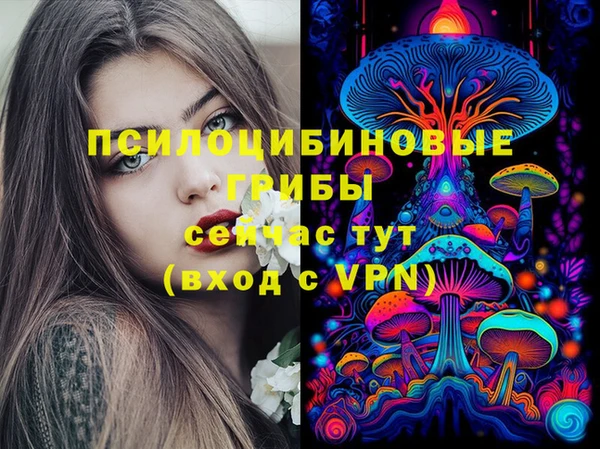 кристаллы Дмитриев