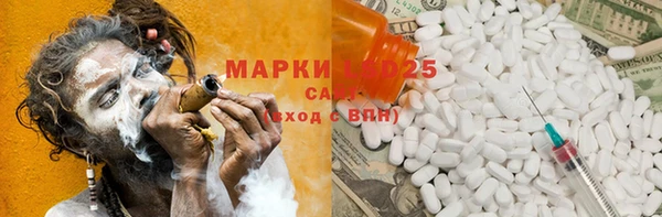 индика Дмитров