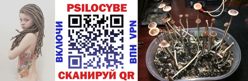 Псилоцибиновые грибы Psilocybine cubensis  Купить закладки  Кирово-Чепецк 